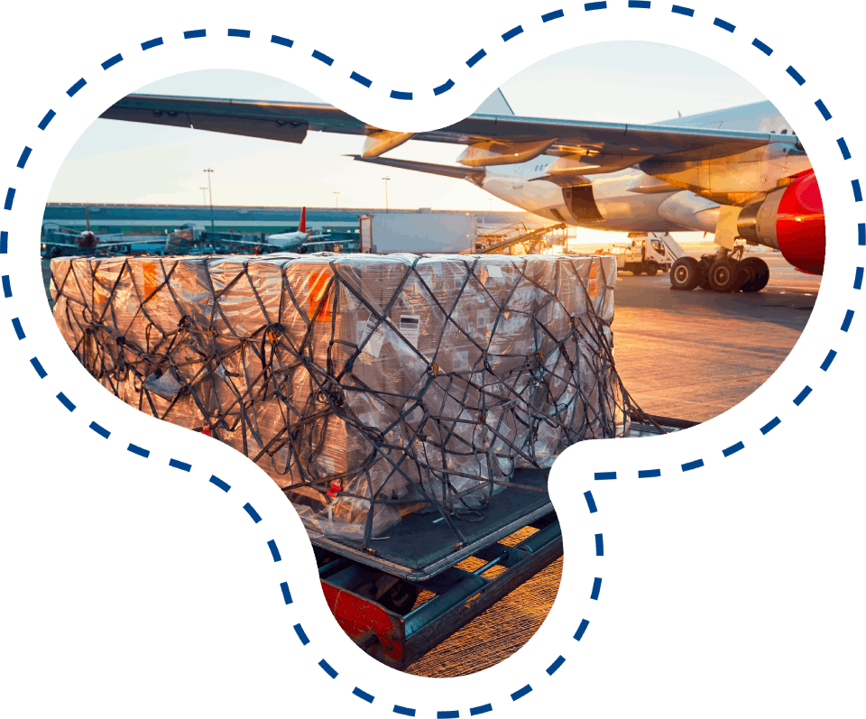 services d'import-export